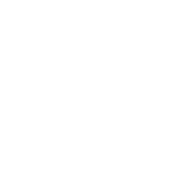 budlight-1