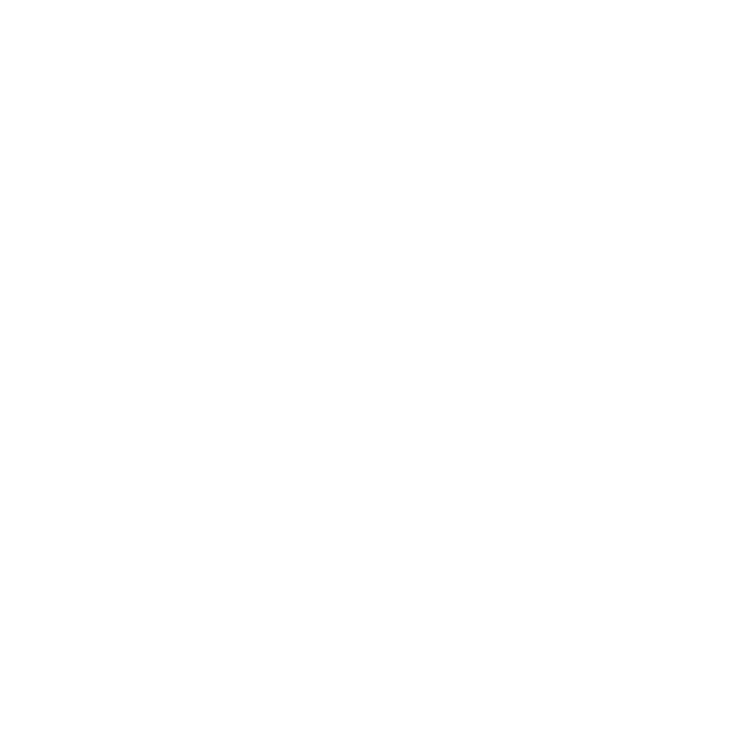 Scars+Foundation+Logo-white