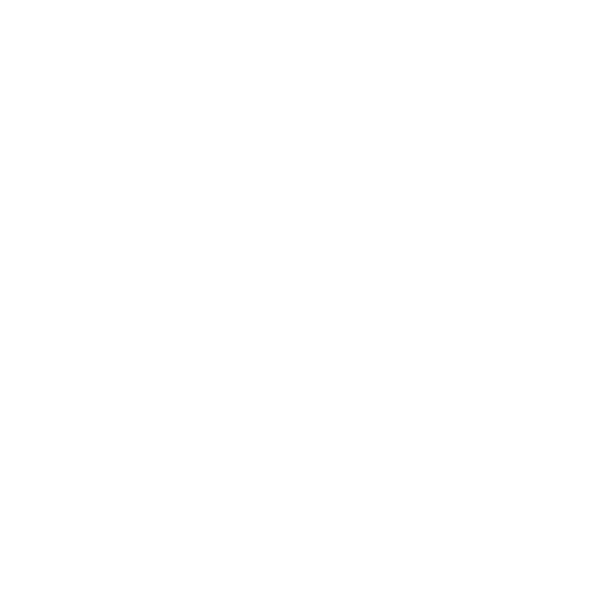 ZippoWHITE